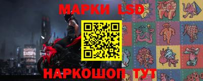 СК Новокубанск