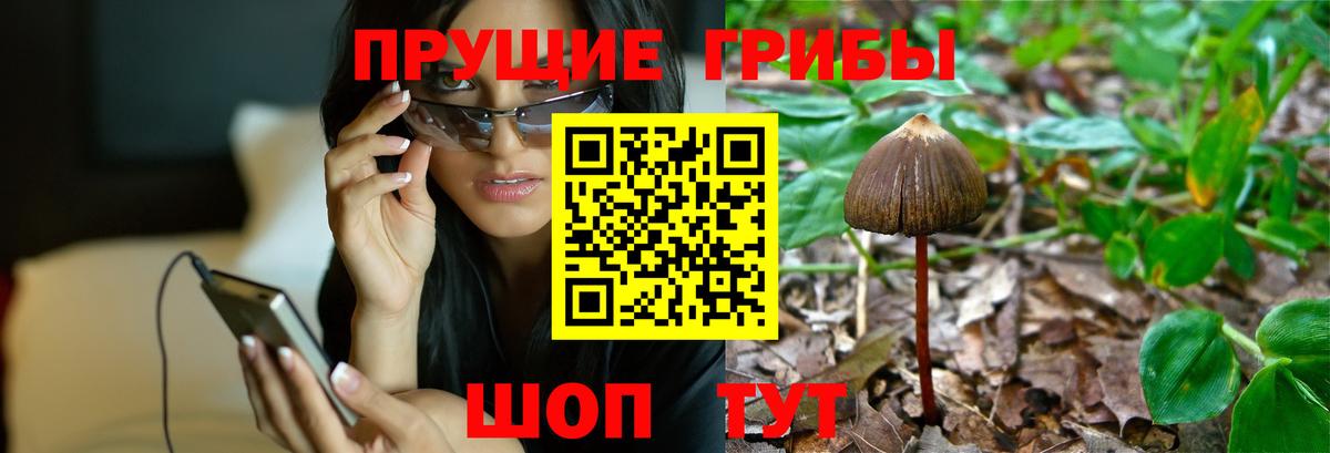 Псилоцибиновые грибы GOLDEN TEACHER  Вход с VPN  Пермь 