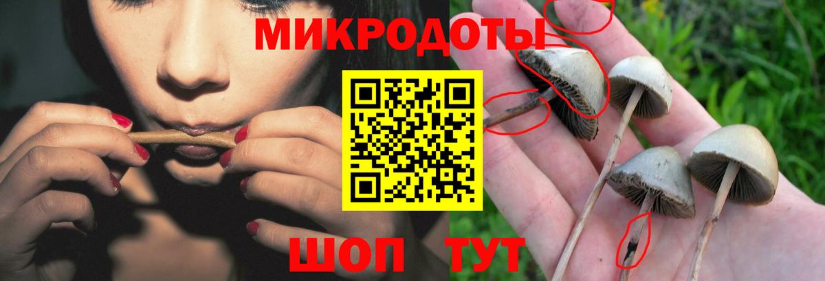 Псилоцибиновые грибы MAGIC MUSHROOMS Пермь